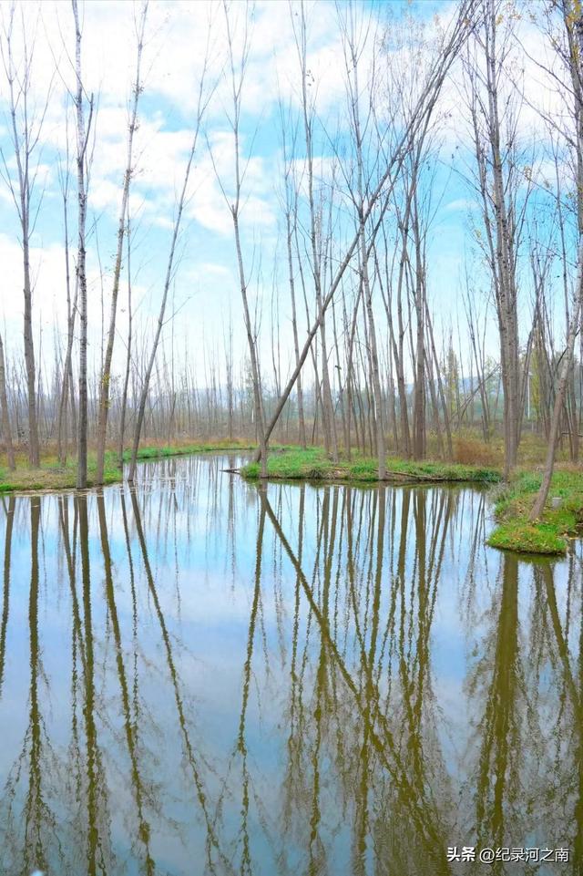 自媒体时代的"德才与流量"：网络大V的责任与反思