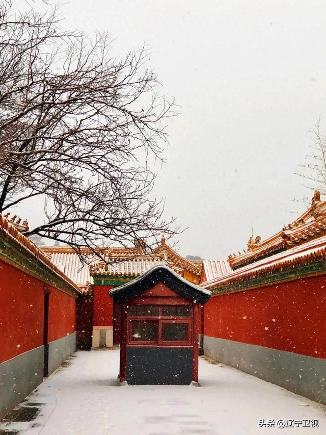 雪落沈阳，一夜盛京