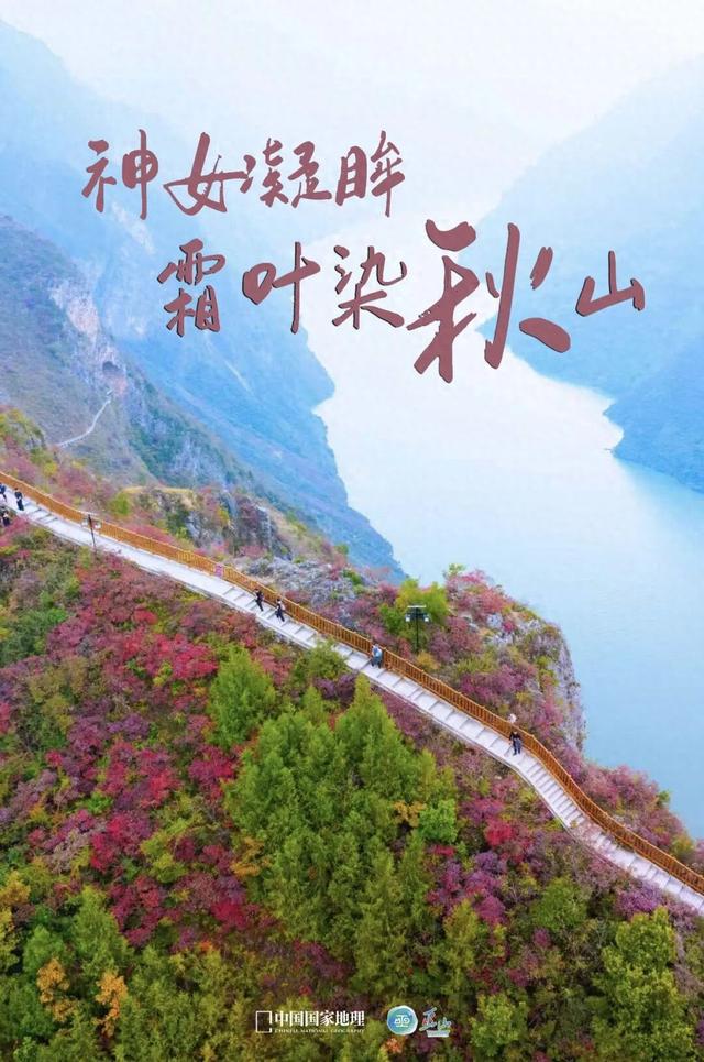 巫峡红透时，才懂中国秋天的壮阔