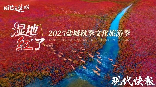 127场活动、超1.5万免费车位……盐城发布“双节”文旅大礼包