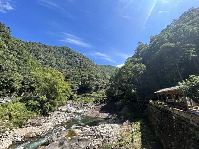住山舍、寻茶趣、探自然！武夷山的康养时光，尽是自在与松弛