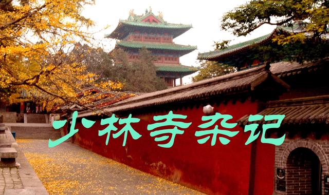 “中原走笔”之四 ― 少林寺杂记