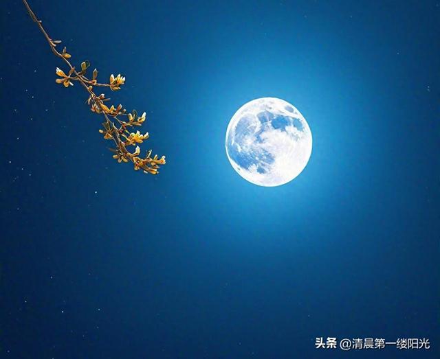 月夜忆舍弟诗意思是什么（古诗词赏析月夜忆舍弟·杜甫）