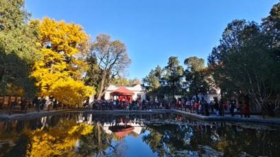 大美北京 | 香山红叶红透了，再不去就要等明年