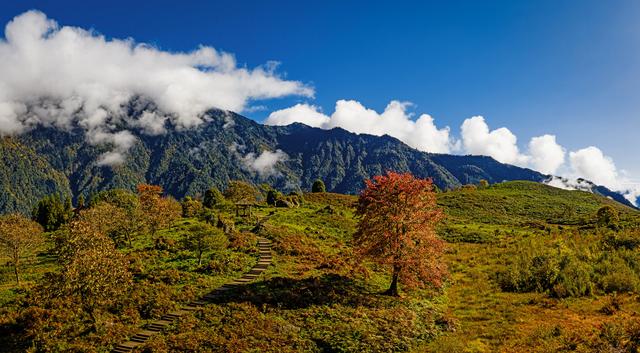 四川峨边：黑竹沟美景醉游人