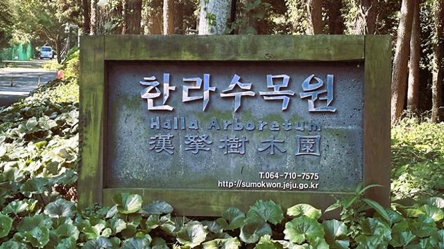 感受自然之美,夏日里的清幽秘境, 韩国济州岛汉拿树木园
