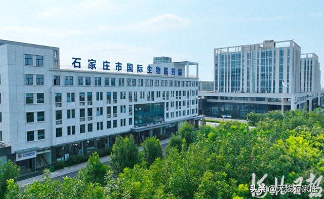 石家庄加速培育千亿级生物医药产业集群