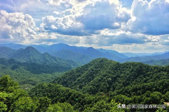 立秋已至，暑热未消，黑河山水与你相约“剩”夏的时光