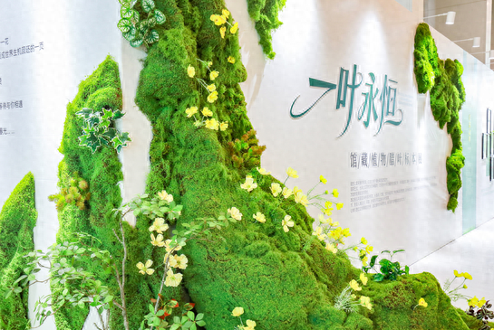 缤纷童趣迎“六一” 武汉园博园系列亲子活动开启欢乐假期