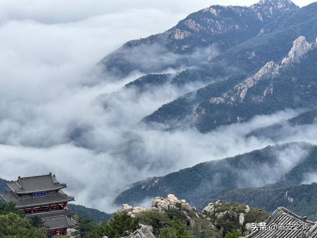 雨后泰山云海翻涌如仙境