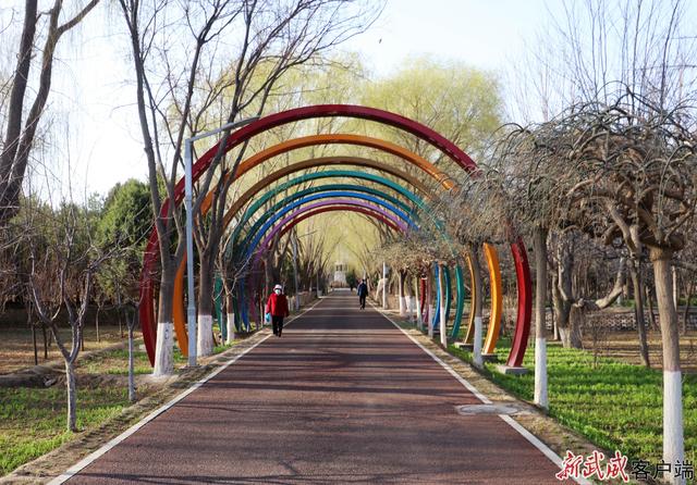 组图丨春意漫染植物园 一城芳华入凉州