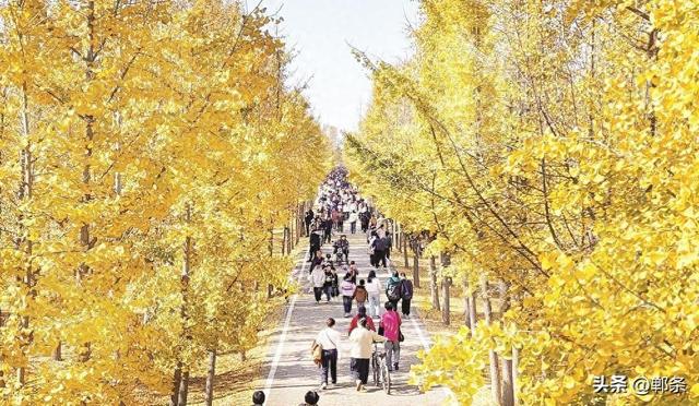 林梢一抹美如画