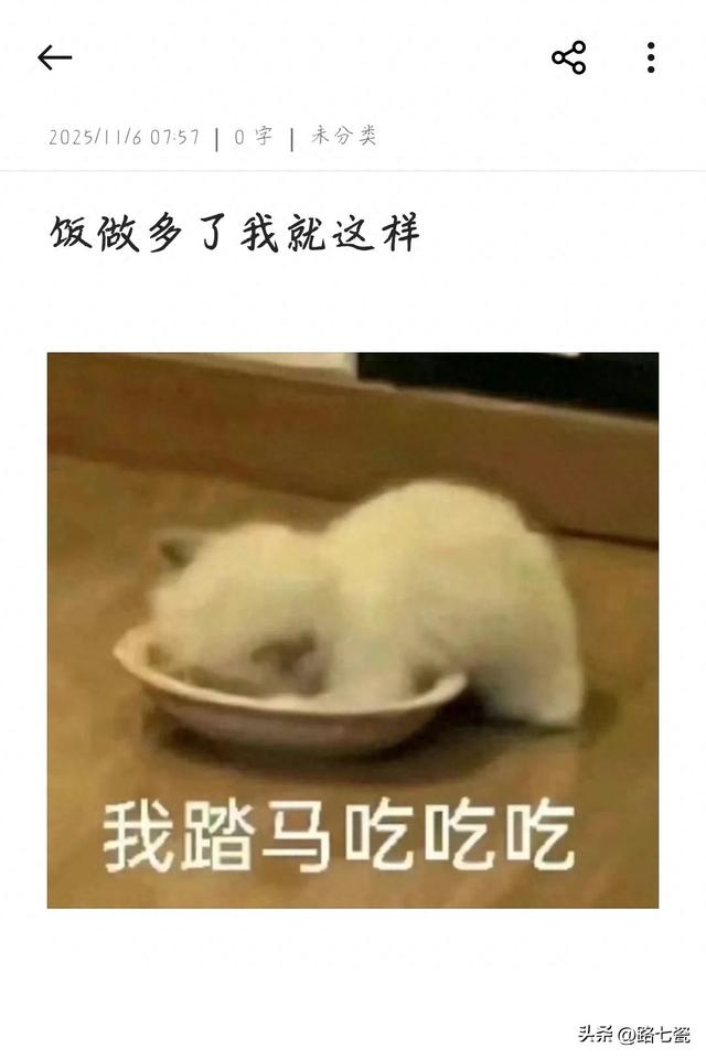 饭做多了我就这样