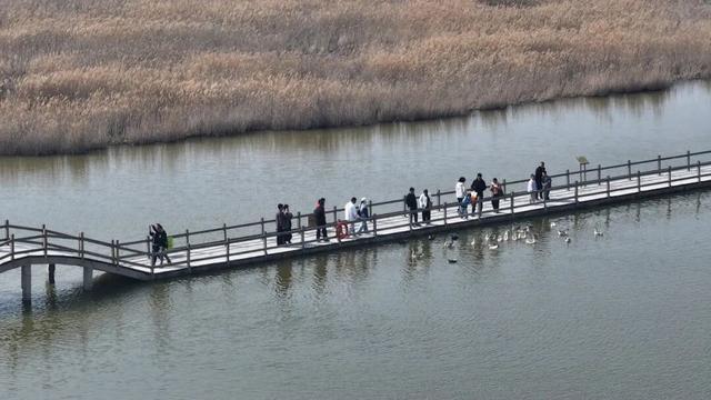 【黄河口生态旅游区】错峰出游 感受正月里的“松弛感”！