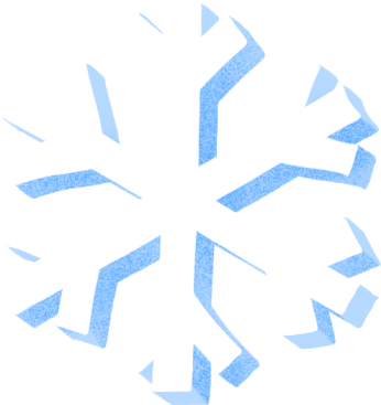 嘉兴新年第一波蜡梅绽放！