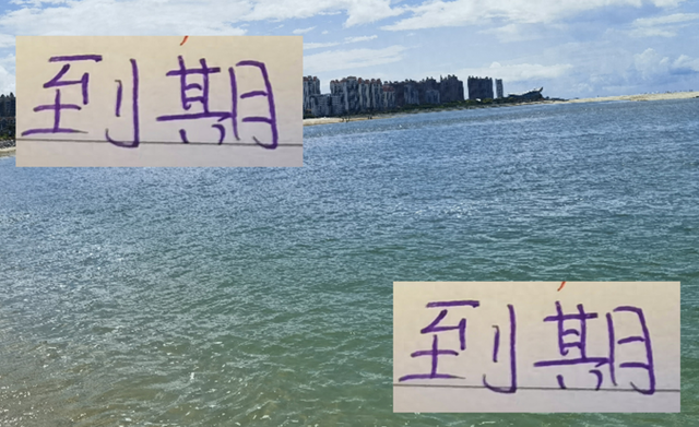 中超前四 今年到期外援 海港有古9 申花有路易斯 北京国安有古加