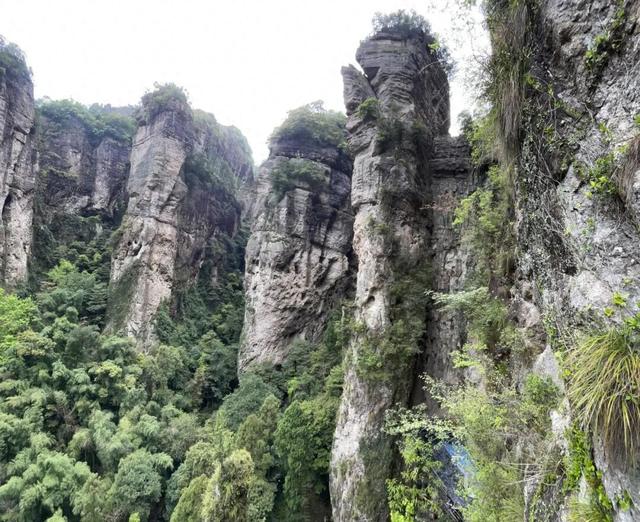 雁荡山景区电梯即将投用！“隐身山石”，20余秒直达卧龙谷玻璃栈道