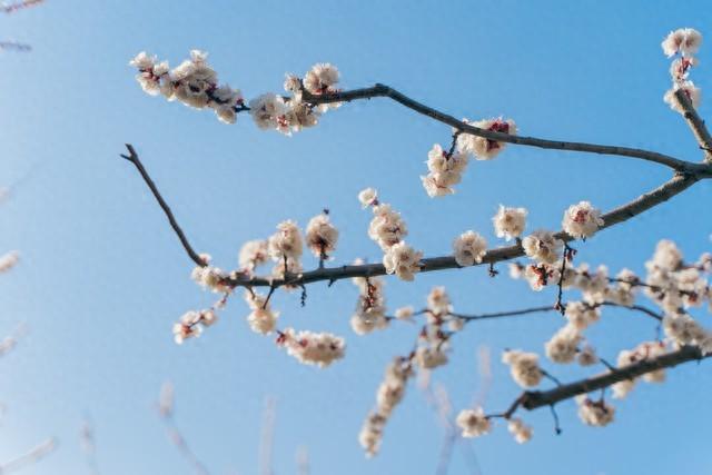 不管你信不信，女性过63岁后，基本都有如下6个现状！要坦然接受