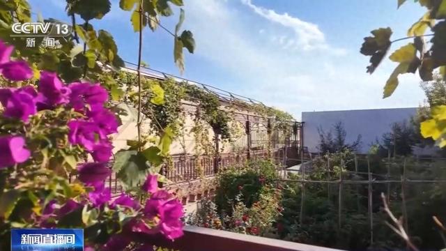 砥砺奋进七十载 天山南北谱华章丨农文旅融合 激活新疆乡村振兴新活力