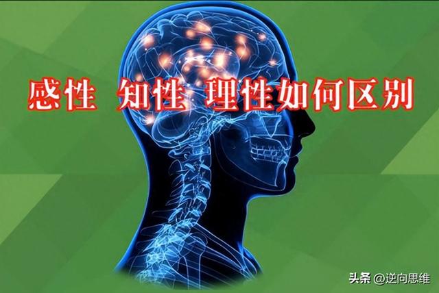 理性与感性的区别是什么（感性）