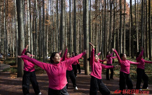 排牙山国家森林公园冬日美景