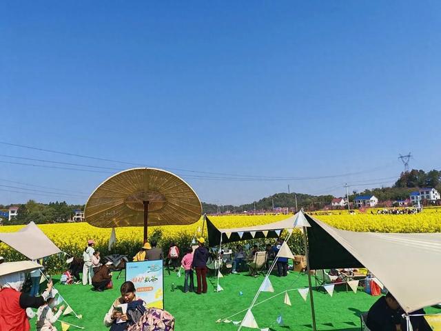 游弋花海 赴春之约