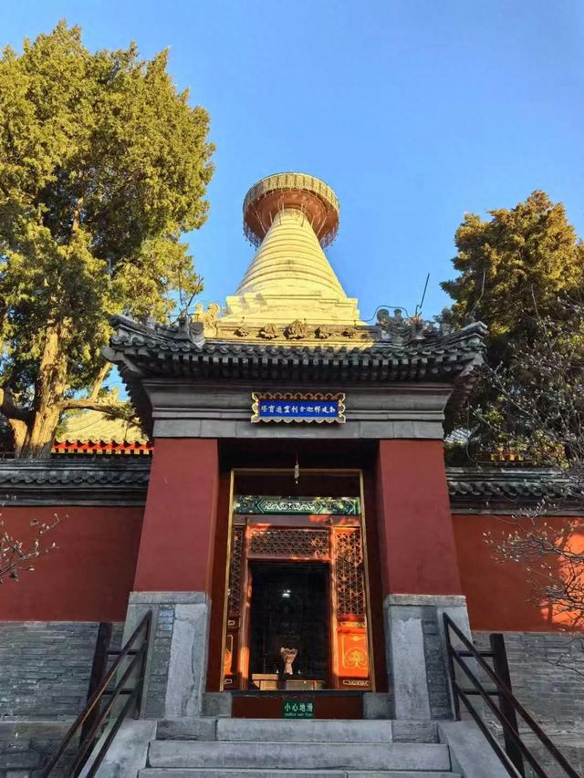 博物馆秋之旅｜白塔寺今日恢复开放 在白塔寺邂逅限定秋景