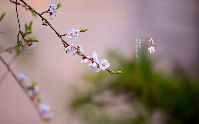 小脑萎缩吃什么食物（立春）