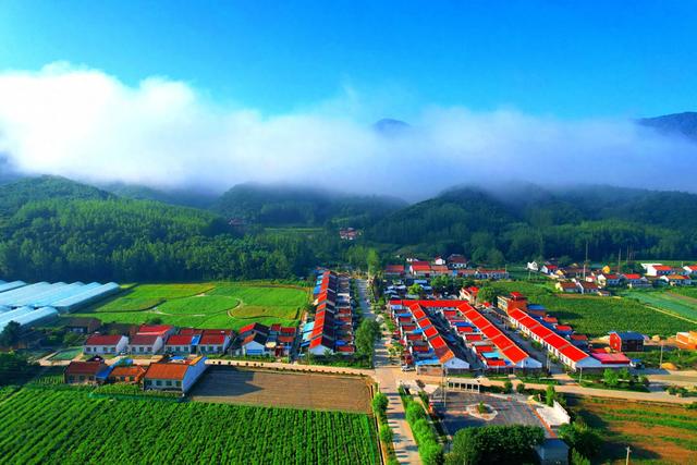 “菜篮子”遇上“避暑游” ——太白县农旅融合释放消费新活力