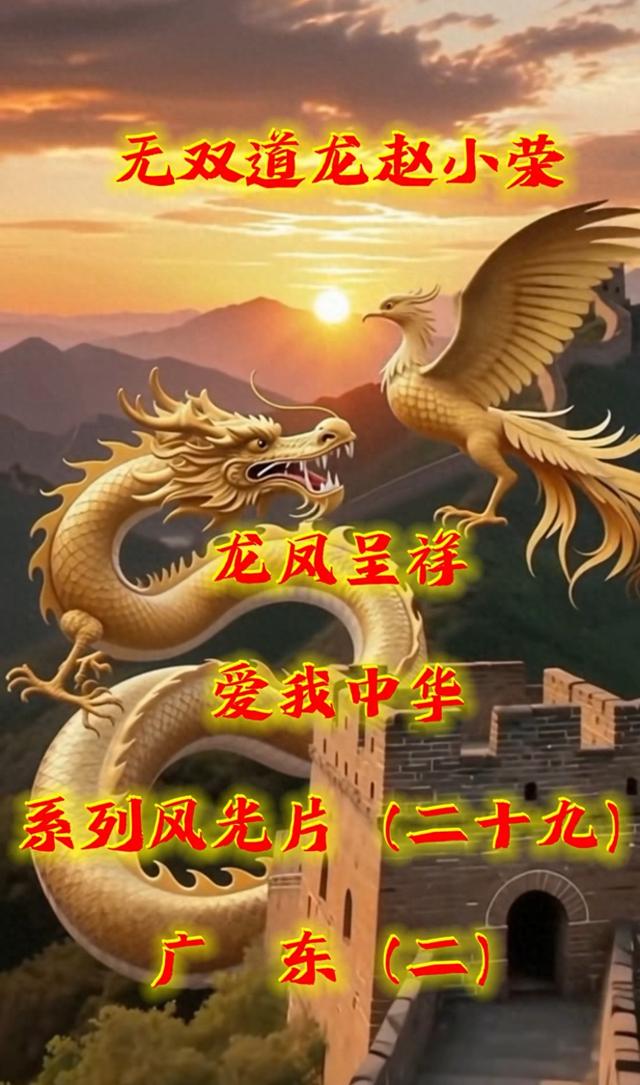 观《龙凤呈祥爱我中华》系列风光片（二十九）广东（二）有感