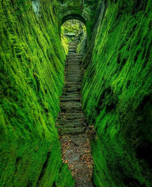 世间真是罕见之景，福建南平独有，“全球独一无二的5大奇景”