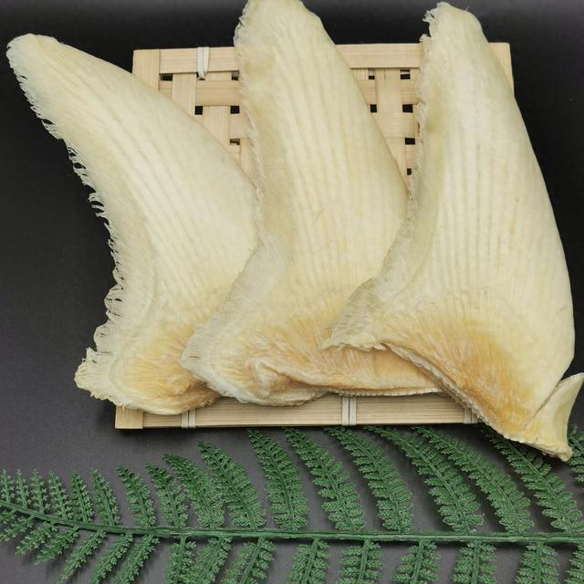 鱼翅的泡发方法如下 怎么泡成丝 2026年鱼翅的泡发方法大全