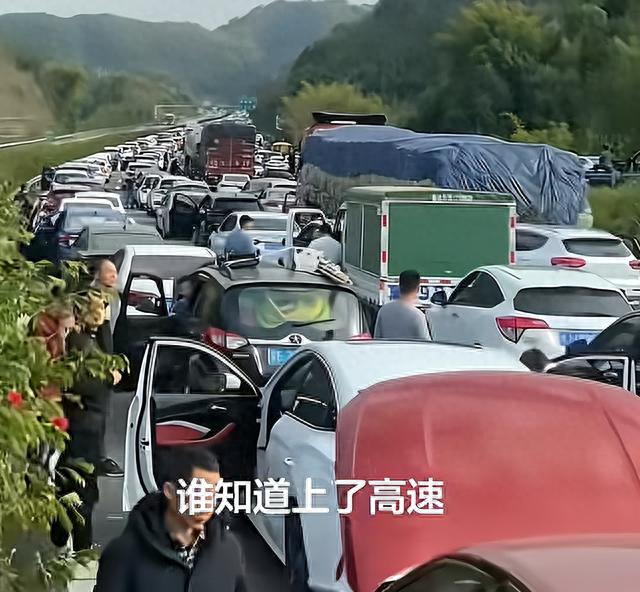 五一最堵景点出炉！网友：堵到怀疑人生，在家没出门的有福了