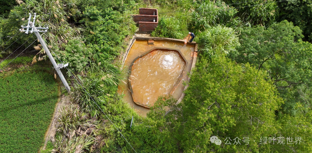 广东梅州大山奇怪的水池，水池出水量巨大，喷涌出黄褐色的液体