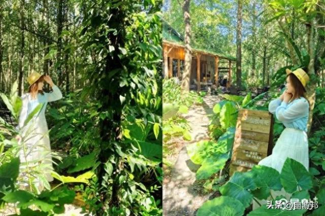 森林系小木屋咖啡厅疗愈必访！露营风美拍秘境顺游碧绿水景步道