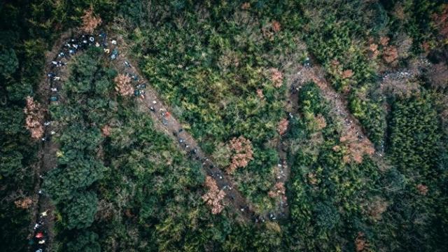 太湖边，每一步都是风景！