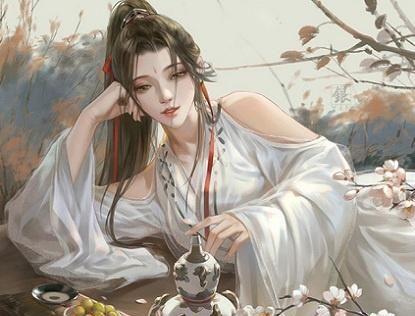 后宫斗游戏攻略（五本宫斗文）