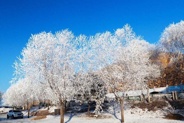 千万别错过！东北的冬天不只有雪乡，这座小城的雾凇，中国之最！