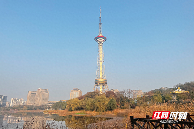 晴暖末班车！株洲神农湖彩叶美景别错过