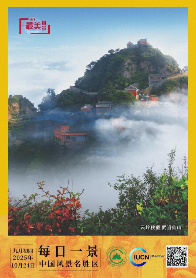 每日一景 | 云岭秋壑 武当仙山