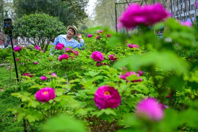 今日！洛阳正式进入…