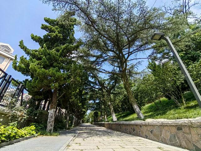 高温过后，来青岛这个山头公园“出出暑”吧