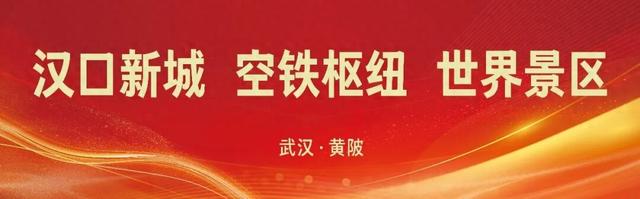 武汉新年去哪玩？来黄陂与万千星光共赴2026！