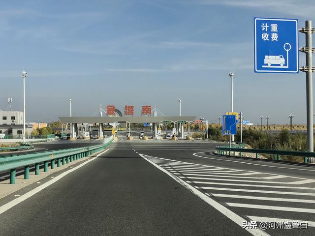 金塔胡杨林