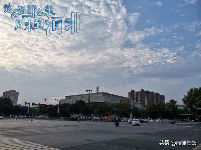 春到洛阳看牡丹