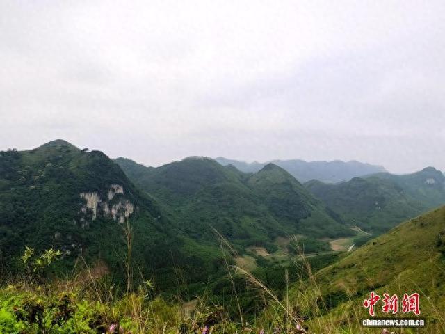 广西来宾九凤山藏天然“福”字 成网红登山打卡地