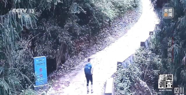 熊猫大冒险破解版下载（户外探险事故频发 如何规范管理越界行为）