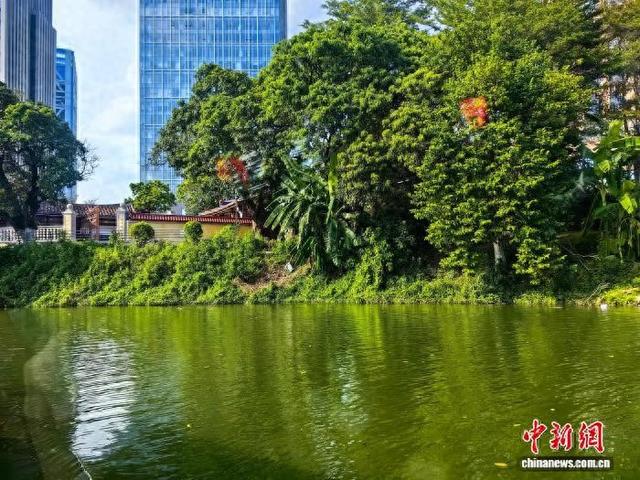 千年荔林水乡的文旅牌“新打法”