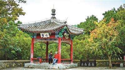 香山公园多样活动邀您赏“迟红”