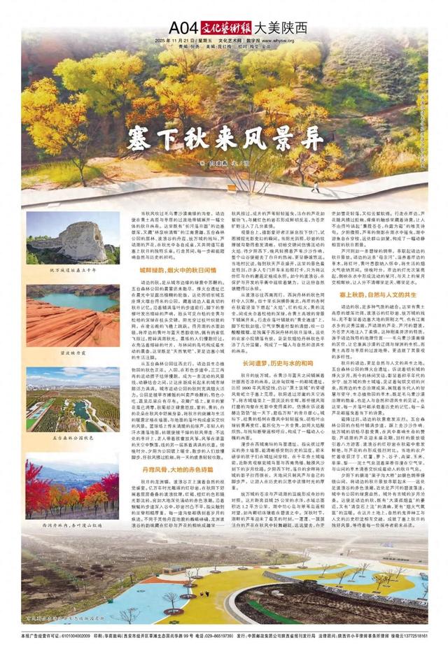 大美陕西 || 塞下秋来风景异